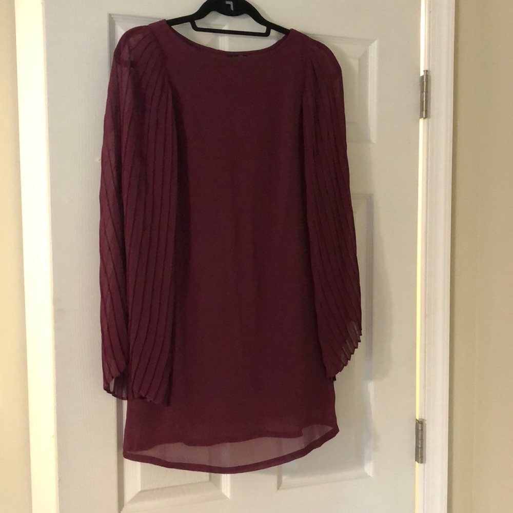 Cranberry Dress Sheer Sleeves